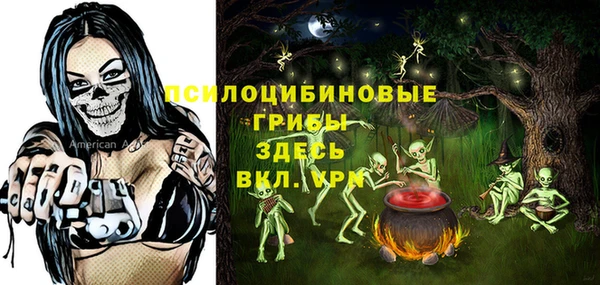 первитин Армянск